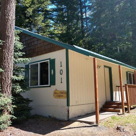 Hall Creek Cabin Packwood Extérieur photo