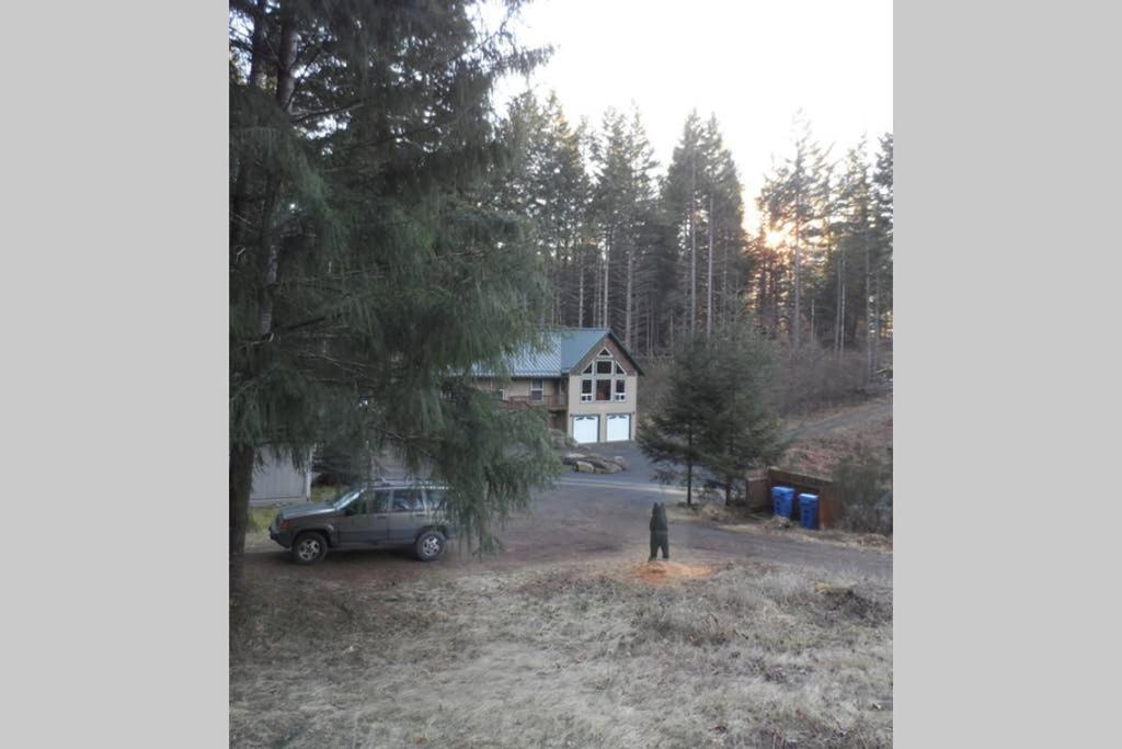Hall Creek Cabin Packwood Extérieur photo
