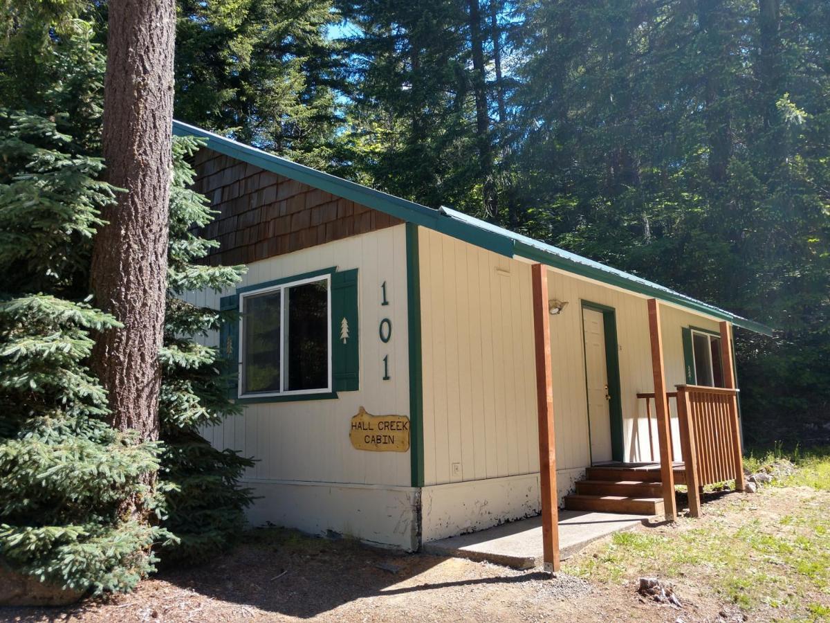Hall Creek Cabin Packwood Extérieur photo